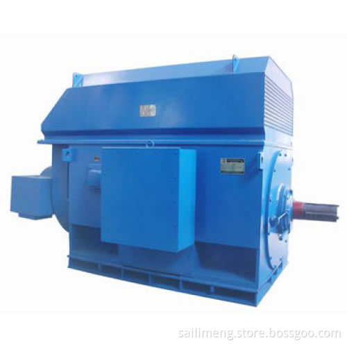 HT Induction Motor